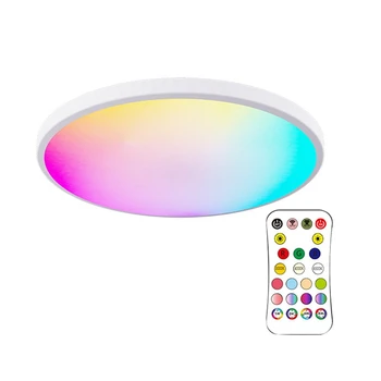 12-Дюймовый 24 Вт RGBCW Полноцветный Потолочный светильник 3000K-6500K С Затемнением, Соответствующий Цвету Bluetooth-Голосовой Потолочный светильник