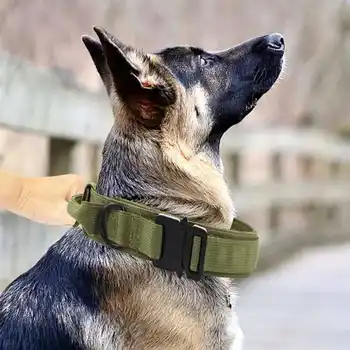 Pet собаки воротник обучение нейлон охота тяги воротник со стальной пряжкой аксессуары для животных
