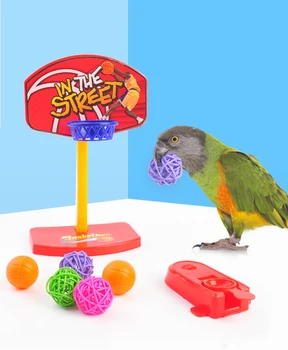 Игрушки Puzzel Bird, Мини-баскетбольное кольцо, игрушка-попугай, Интерактивные птицы, Инструменты, аксессуары для пластиковых птиц, товары для дрессировки мелких домашних животных