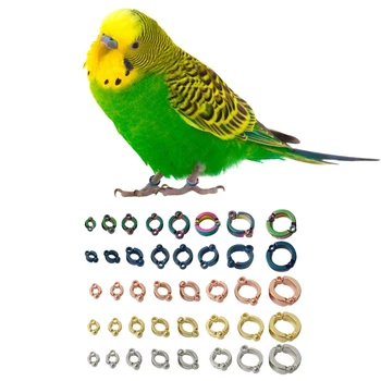 Кольцо для домашних птиц на ножках, металлические бирки для управления птицами, аксессуар для голубей, многоцветные кольца для птичьих лапок, защелка на ножке, защита от потери