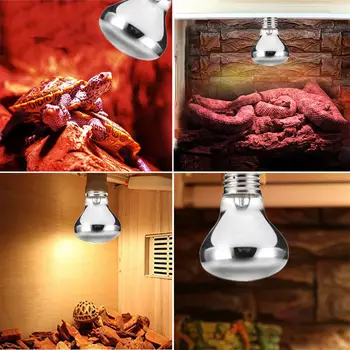 Нагревательная лампа для домашних животных E27 Лампа для амфибий и змей-амфибий, нагревающая лампочку для рептилий Мощностью 50 Вт 100 Вт Лампа-излучатель тепла для домашних животных-рептилий